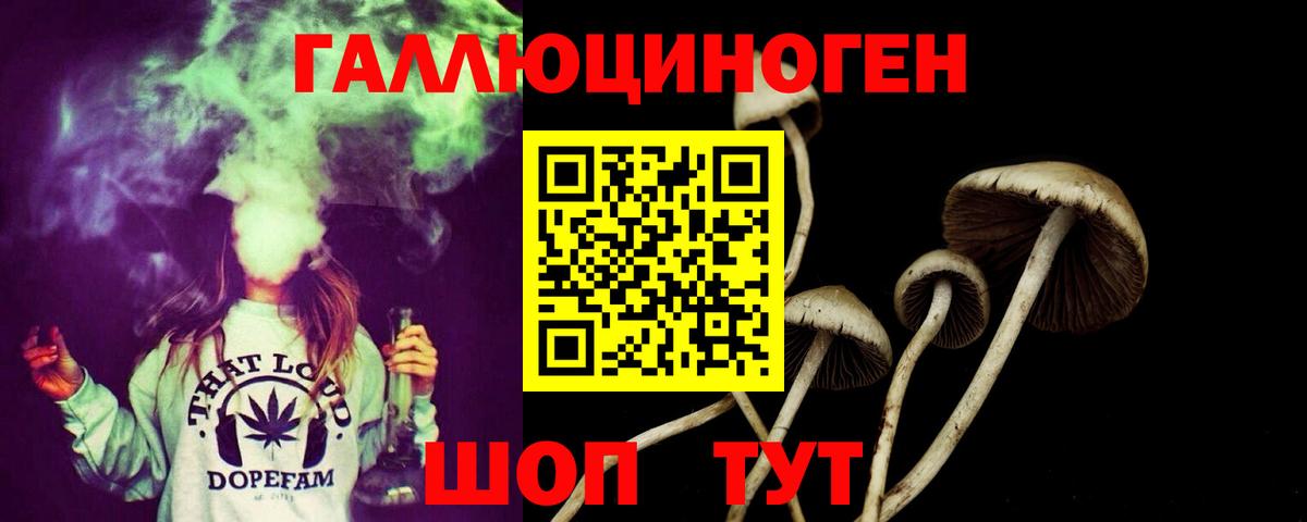 Галлюциногенные грибы мухоморы  купить наркотики сайты  Нововоронеж  Галлюциногенные грибы Psilocybe  Вход с VPN 