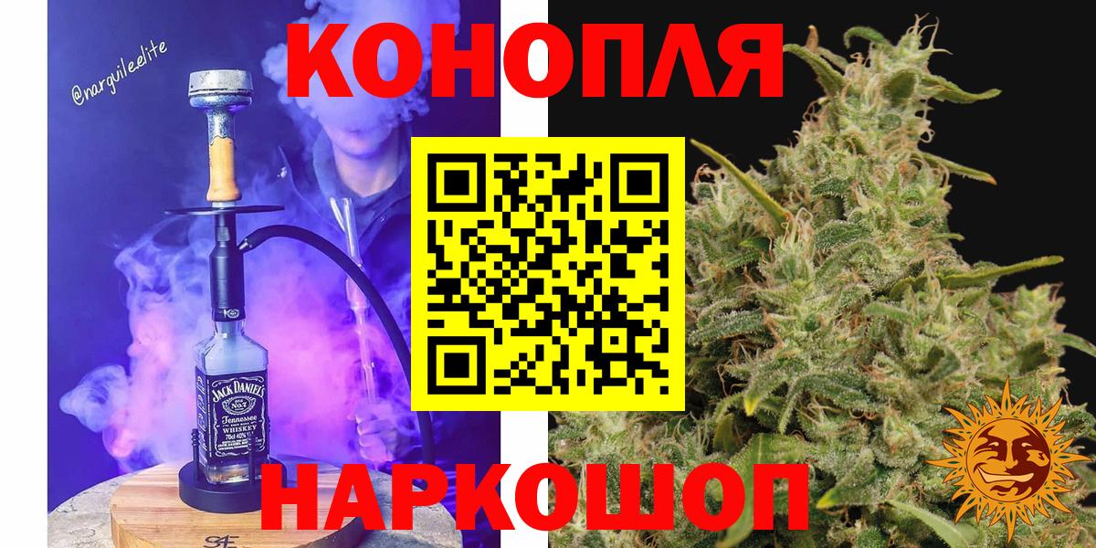 Шишки марихуана марихуана Нововоронеж